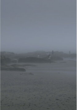 The Fog Has Covered The Moment Again (2021) The Fog Has Covered The Moment Again (2021)