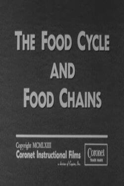 The Food Cycle and Food Chains (1963) The Food Cycle and Food Chains (1963)