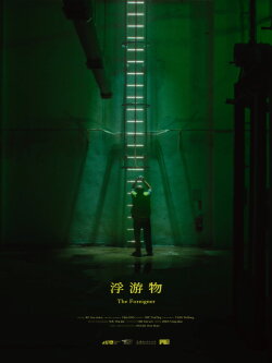 The Foreigner (2024)