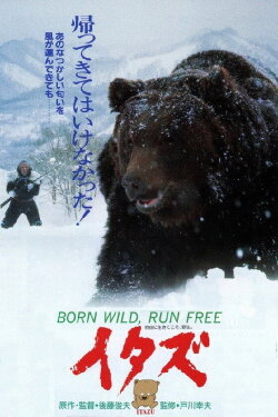 The Forest of the Little Bear (1987) The Forest of the Little Bear (1987)