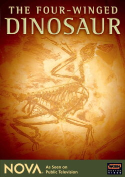 The Four-Winged Dinosaur (2008) The Four-Winged Dinosaur (2008)
