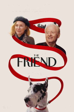 The Friend (2024) The Friend (2024)
