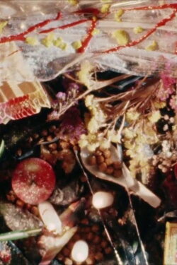 The Garden of Eating (1986) The Garden of Eating (1986)