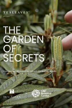 The Garden of Secrets (2019) The Garden of Secrets (2019)