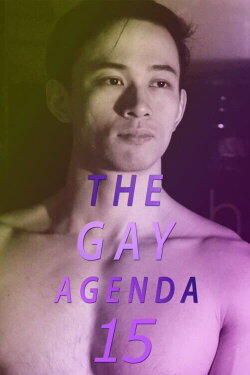 The Gay Agenda 15 (2022) The Gay Agenda 15 (2022)