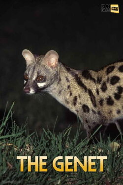 The Genet (2014) The Genet (2014)