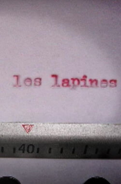 The Girl Bunnies (2008)