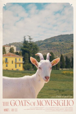 The Goats of Monesiglio (2022) The Goats of Monesiglio (2022)