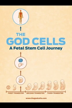 The God Cells (2016) The God Cells (2016)