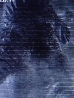 The Godzilla Revelation (2014) The Godzilla Revelation (2014)