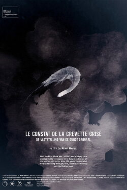 The Gray Shrimp Report (2021) The Gray Shrimp Report (2021)
