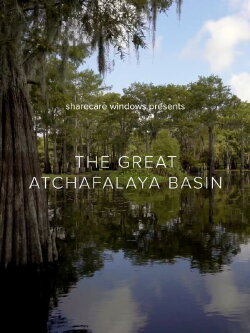 The Great Atchafalaya Basin (2020) The Great Atchafalaya Basin (2020)