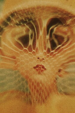 The Great Brain Robbery (1965)