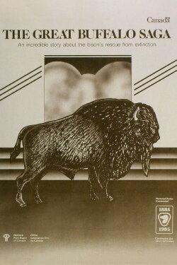 The Great Buffalo Saga (1985) The Great Buffalo Saga (1985)