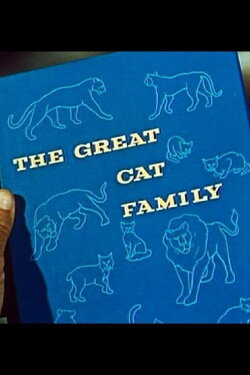 The Great Cat Family (1956) The Great Cat Family (1956)