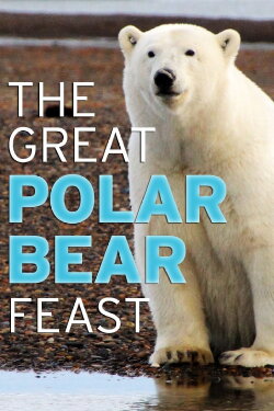 The Great Polar Bear Feast (2015) The Great Polar Bear Feast (2015)