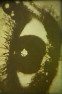 The Great Smoke (1984) The Great Smoke (1984)