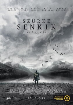The Grey War (2016)