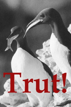 The Gulls (1944)