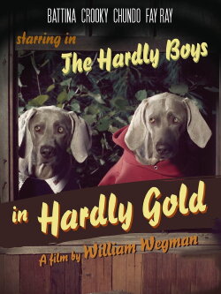 The Hardly Boys in Hardly Gold (1995) The Hardly Boys in Hardly Gold (1995)