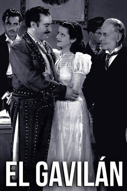 The Hawk (1940)