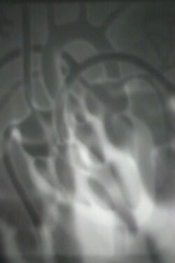 The Heart Cycle (1973)