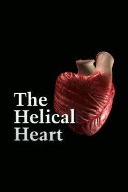 The Helical Heart (2002)