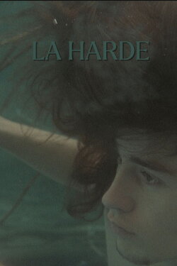 The Herd (2009)