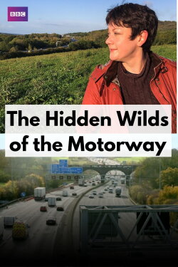 The Hidden Wilds of the Motorway (2020) The Hidden Wilds of the Motorway (2020)