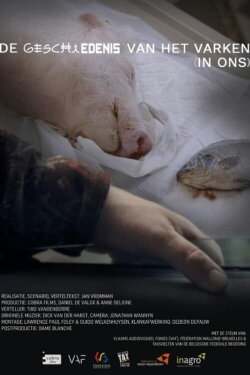 The History of the Pig (Within Us) (2017) The History of the Pig (Within Us) (2017)