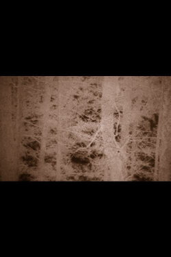 The Hollow Mountain (2022) The Hollow Mountain (2022)