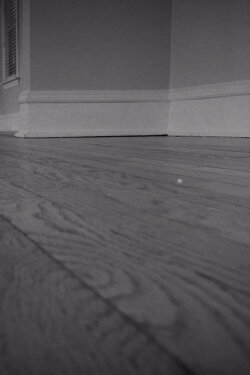 The House Is Empty (2020)