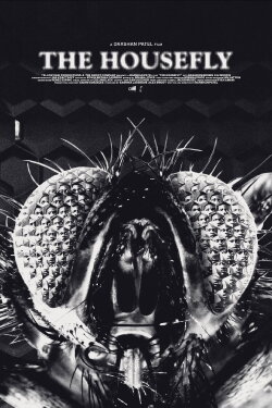 The Housefly (2023) The Housefly (2023)