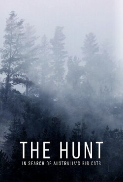 The Hunt: In Search of Australia's Big Cats (2021) The Hunt: In Search of Australia's Big Cats (2021)