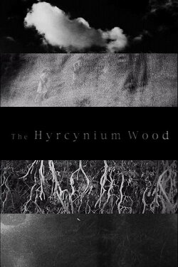 The Hyrcynium Wood (2005) The Hyrcynium Wood (2005)