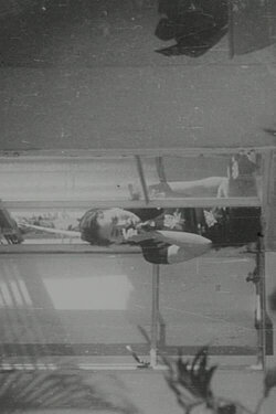 The Ill-Fated Flower (1958)