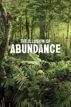 The Illusion of Abundance (2022) The Illusion of Abundance (2022)