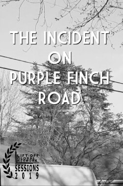 The Incident on Purple Finch Road (2019) The Incident on Purple Finch Road (2019)