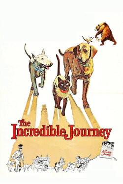 The Incredible Journey (1963) The Incredible Journey (1963)