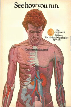 The Incredible Machine (1975) The Incredible Machine (1975)