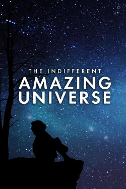 The Indifferent Amazing Universe (2017)