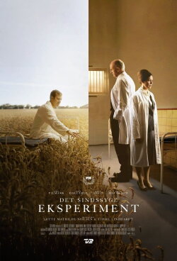 The Insane Experiment (2023) The Insane Experiment (2023)