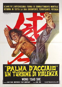 The Invincible Iron Palm (1971)
