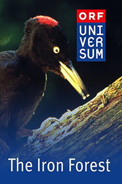 The Iron Forest (1998) The Iron Forest (1998)