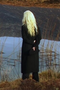The Irreducible Difference of the Other (2013) The Irreducible Difference of the Other (2013)