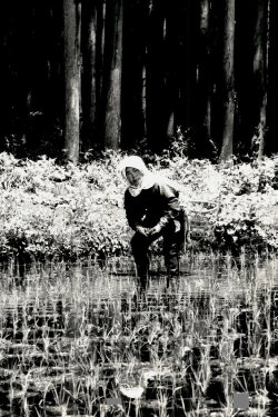 The Japanese Part 3: Farm Song (1978) The Japanese Part 3: Farm Song (1978)