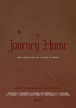 The Journey Home (2023)