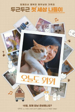 The Journey of the 12 Cats (2019) The Journey of the 12 Cats (2019)