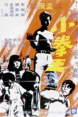 The King of Boxers (1972) The King of Boxers (1972)