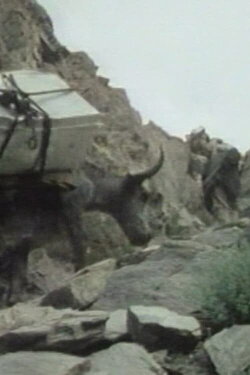 The Kirghiz of Afghanistan (1975)